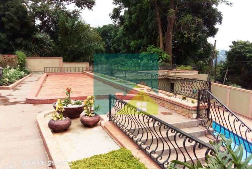 IMG_20200907_110223_046